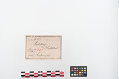 Etiketten zu Bronzeanhänger (NHMW-PRAE-024353)